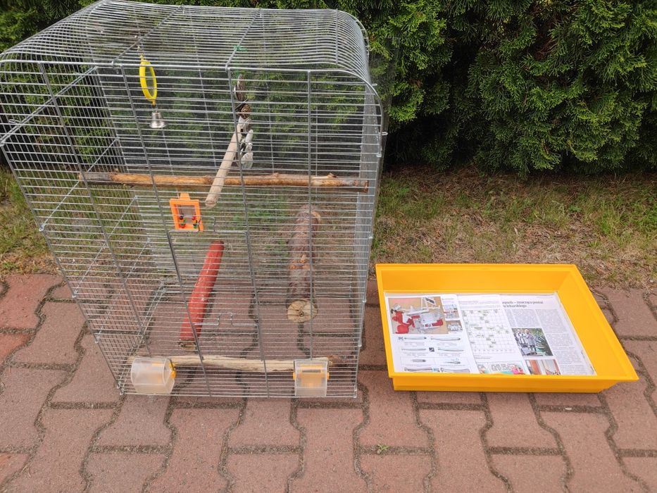 Klatka na papugę ptaka duża z akcesoriami GRATIS pokarm