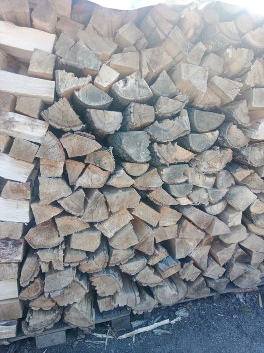 Drewno kominkowe, opałowe, na ognisko, rozpałka