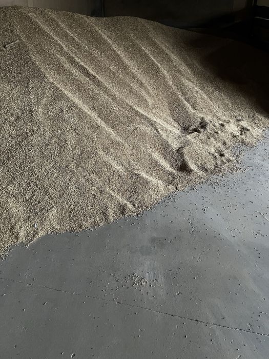 jęczmien jary (łubin,owies,pszenzyto)