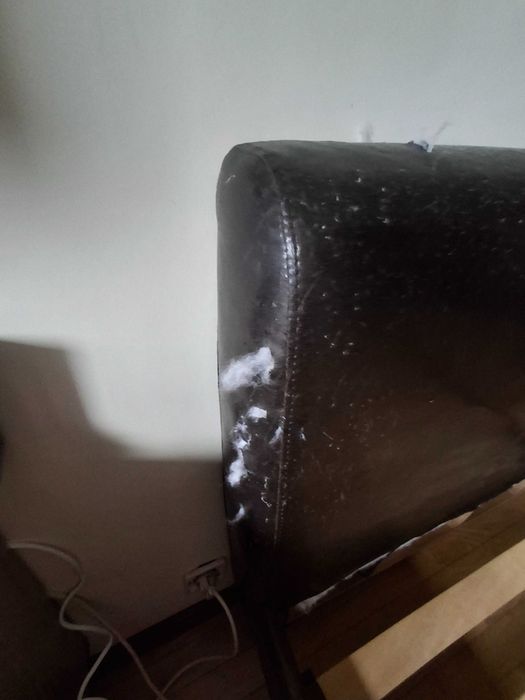 Cama 2.20x 1,66 usada  para uso casal com colchão gasta por gatos