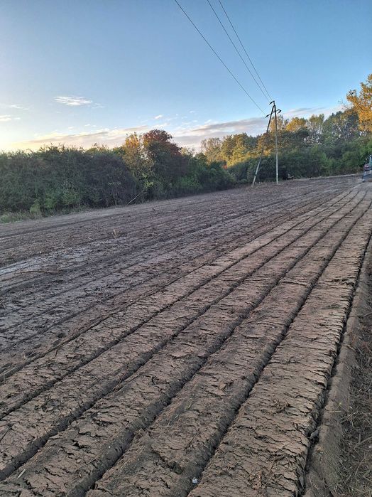 Mulczer leśny wycinka mulczowanie terenu czyszczenie działek rębak
