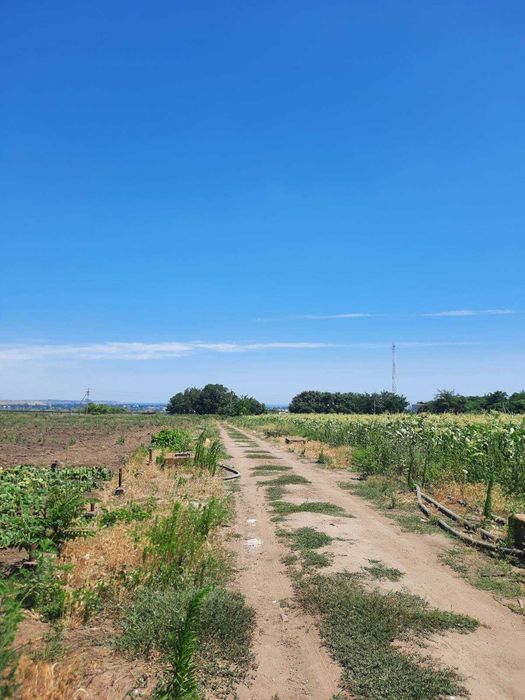 Продам земельну ділянку