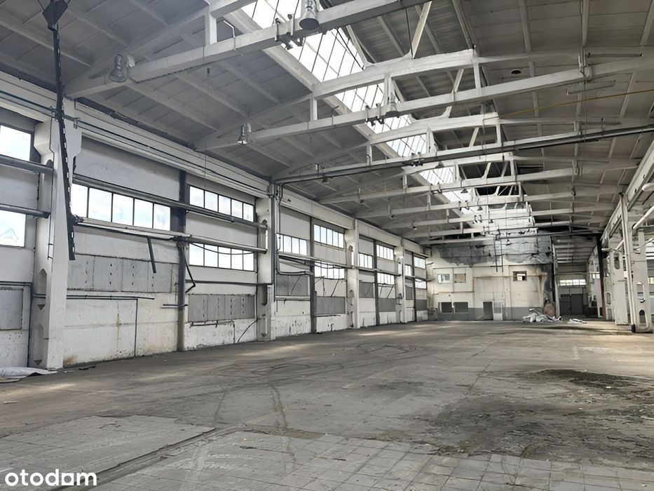 Hala na wynajem - 3200 m², wysoka 12 m