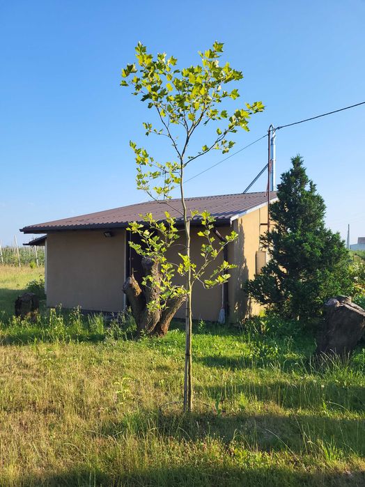 Działka budowlana - Widok 5