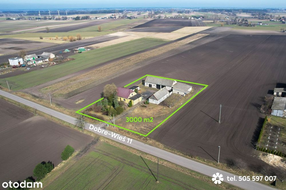 Siedlisko na Kujawach. Działka 3.000 m², dom, budynki gospodarcze - Widok 2