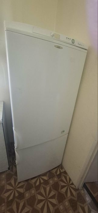 Lodówka Amica z zamrażarkiem Fresh Line polecam