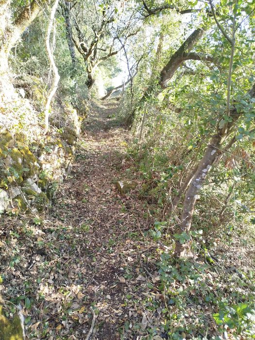 Limpeza de terrenos, caminhos de acesso e trilhos. 20€ h + deslocação