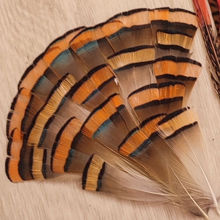 Перья разных птиц , ловец снов