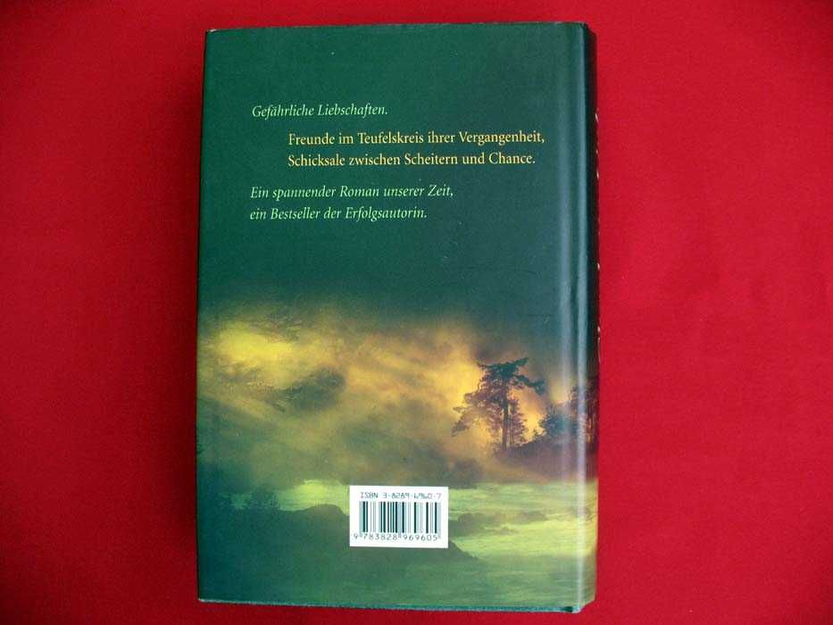 Schattenspiel _ Charlotte Link - książka niemiecka _powieść