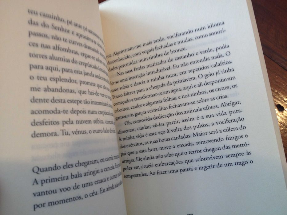 José Agostinho Baptista - O Pai, a Mãe e o silêncio dos irmãos