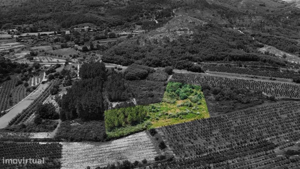 Terreno Rústico c/ 8.331 m² em Aldeia do Souto – Covilhã