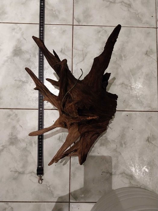 Korzenie do akwarium