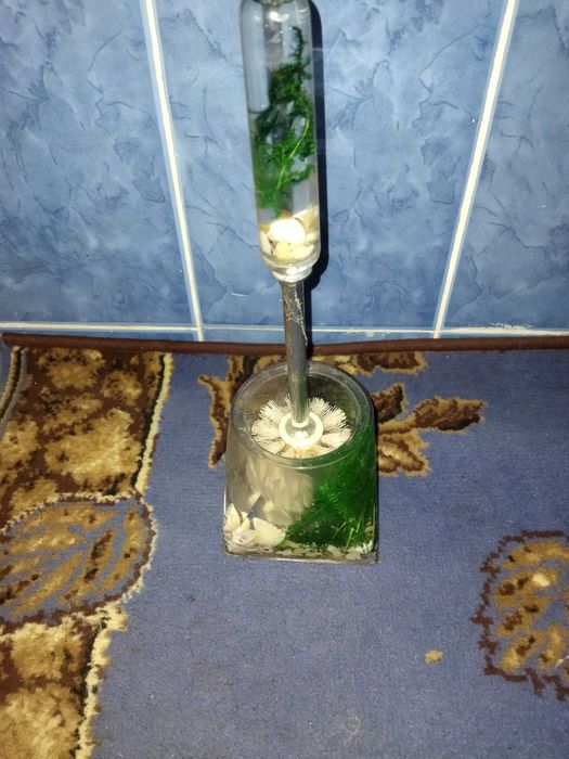 Йоржик для унітаза ракушки, водорості