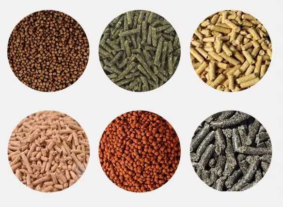 Peleciarka HDM CY-210 Granulator Paszy pelletu 7.5kW do 300kg/godzinę