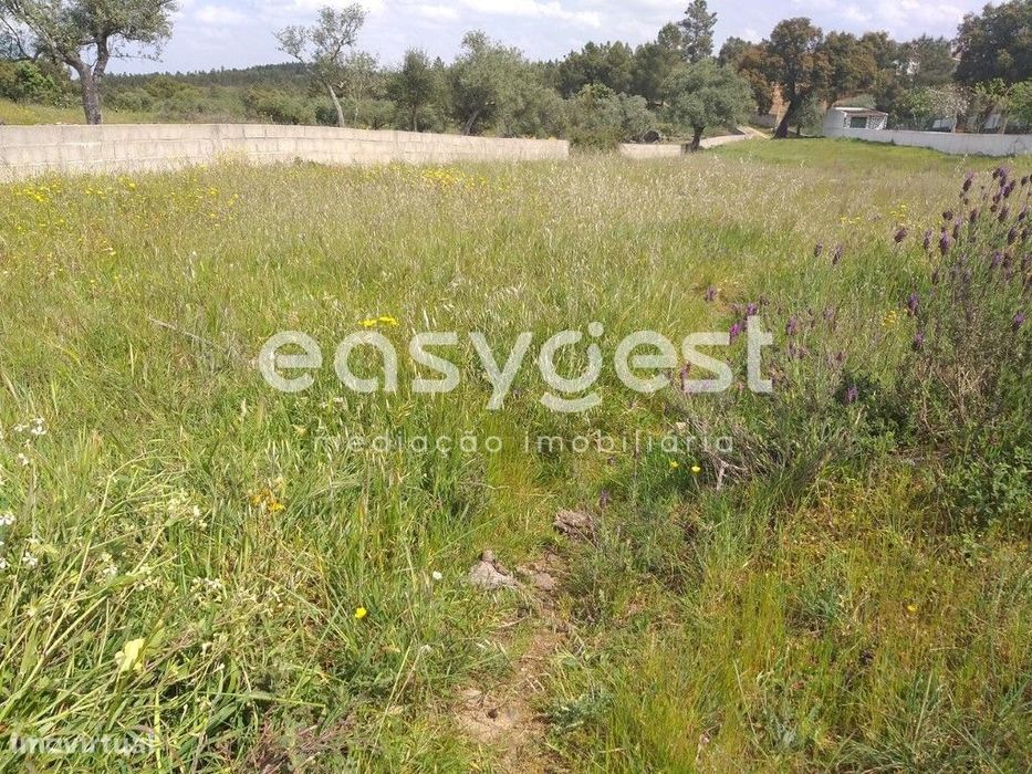 Fantástico Terreno Urbano em Benquerenças Castelo Branco