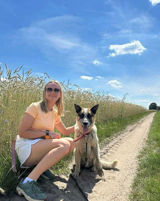 Ok. 3 letni pies Venom, łagodny w stosunku do dorosłych i dzieci