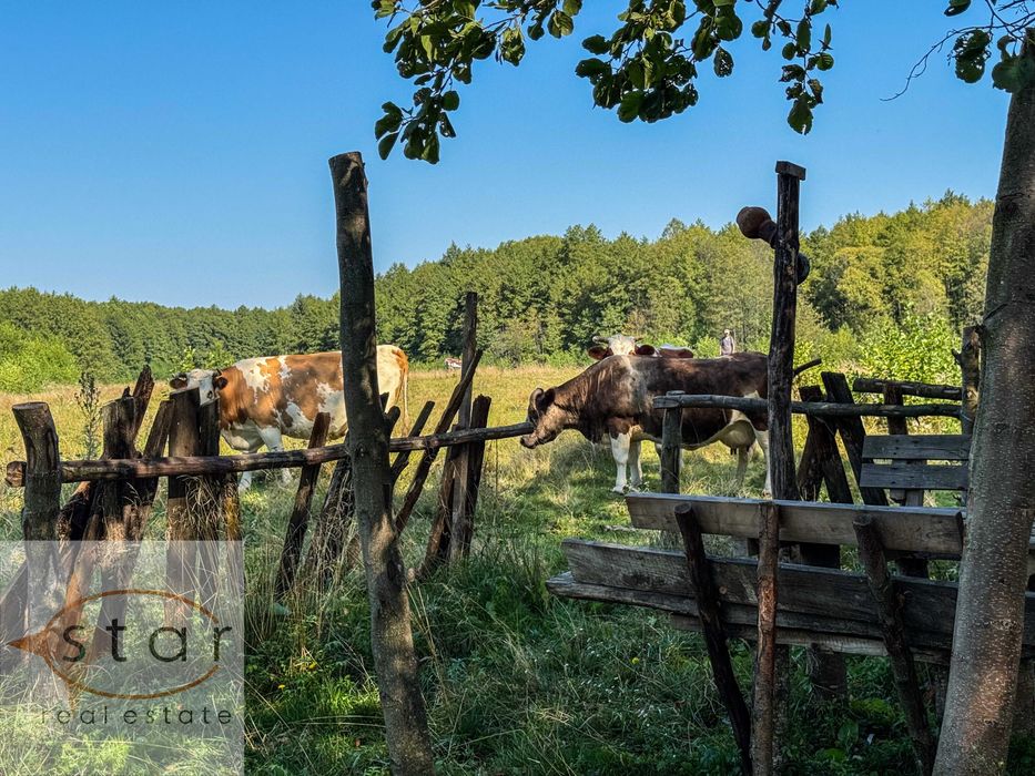 Продаж землі у Седневі  2,15 га поруч з Кротовим озером та р. Снов
