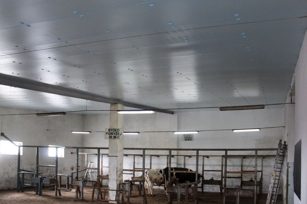 Płyty Styrodur XPS AGRO na Zardzewiałe Płyty Warstwowe Obornickie Rdzę