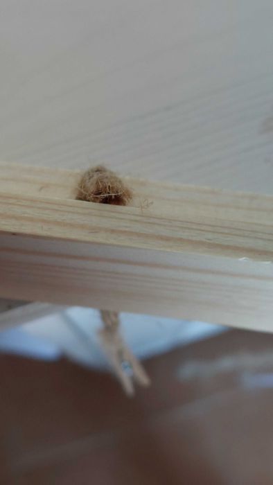 Handmade- Expositor de fotos