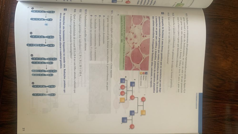 Caderno de atividades Biologia e Geologia 12 ano