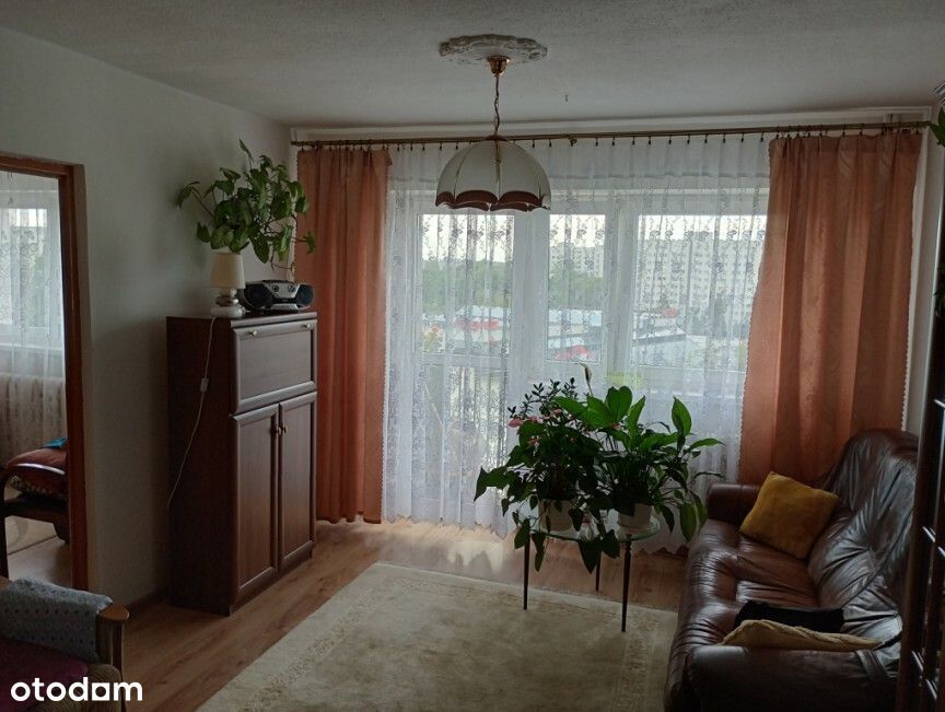 3 pokoje, Żoliborz, Balkon, Piwnica, 48,5 m² , Bezpośrednio - Widok 6
