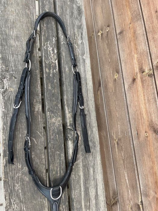 Napierśnik kavalkade cob