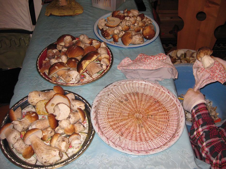 Borowik suszony całe główki prawdziwki suszone B. ładne!