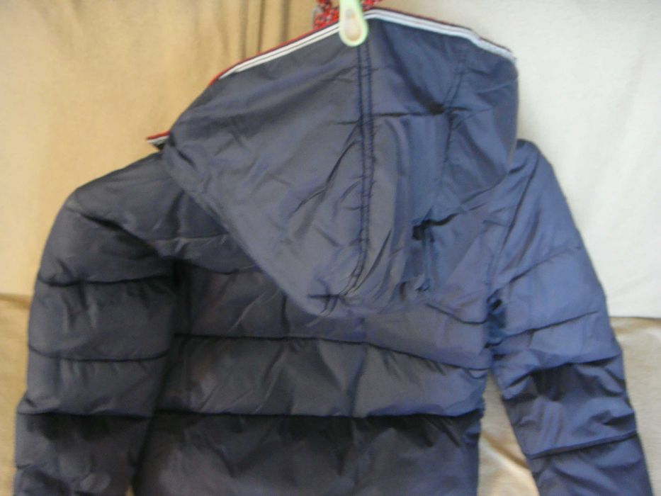 KURTKA Zimowa  St. Bernard z kapturem