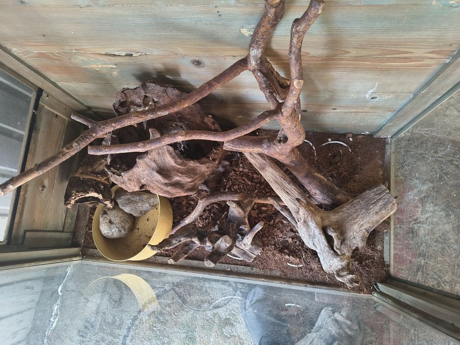 Terrarium plus wyposażenie