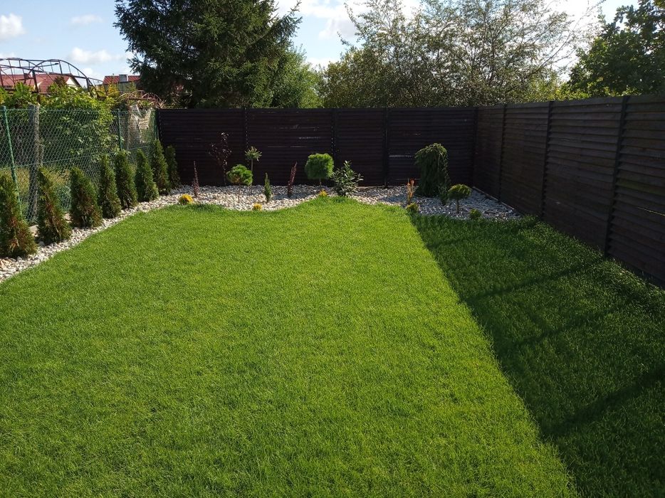 Usługi ogrodnicze  profesjonalne sianie trawy