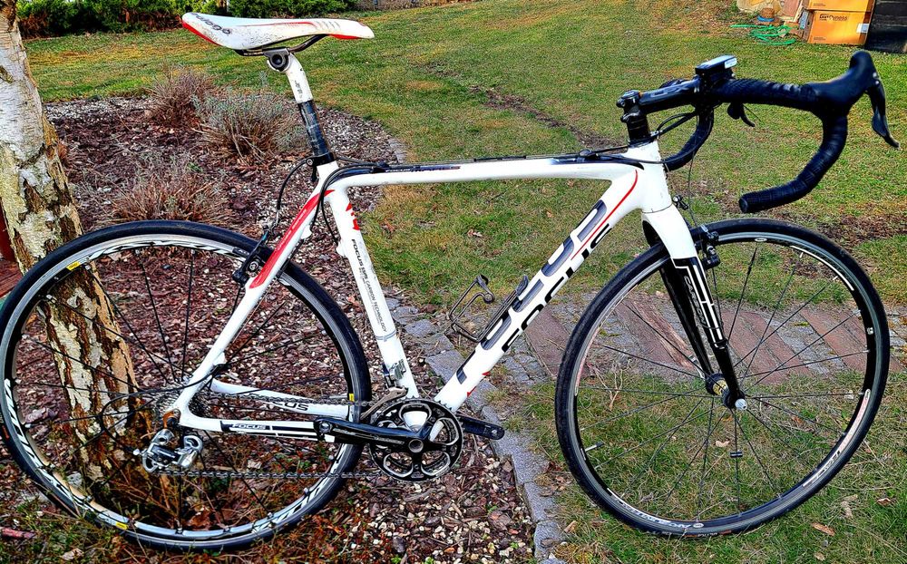 Rower szosowy endurance karbon Focus, Camp. Chorus, Mavic Ksyrium Elit