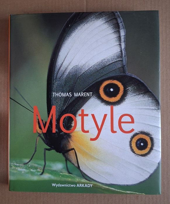 Motyle.   Thomas Marent.