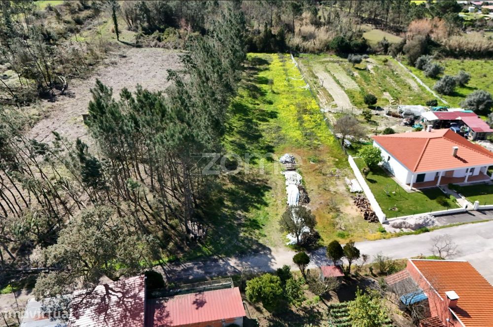 Terreno Urbanizável 1124m2 | Arazede