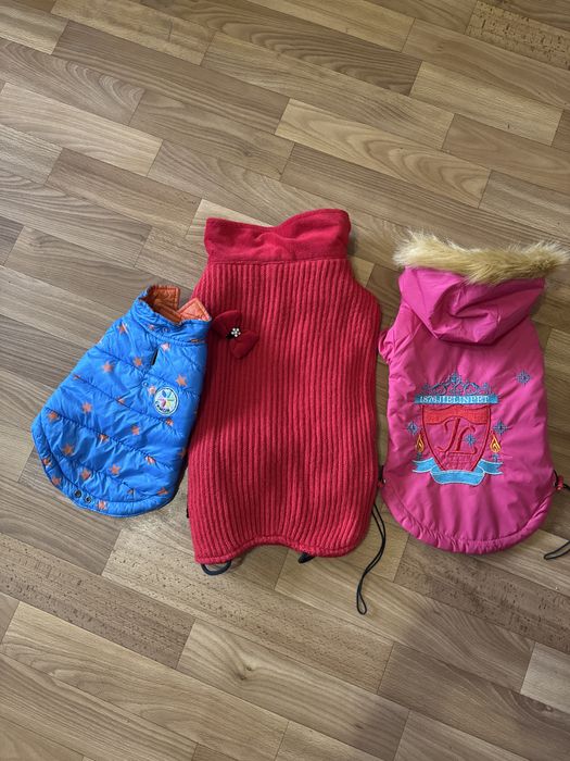 Одяг  на собак  шлеі.