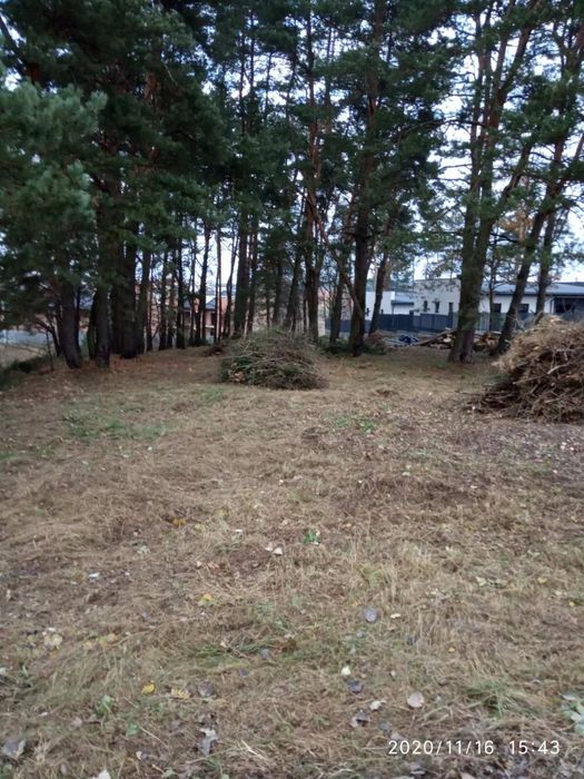 Чистка ділянок, благоустрій території, вивіз, подрібнення гілок