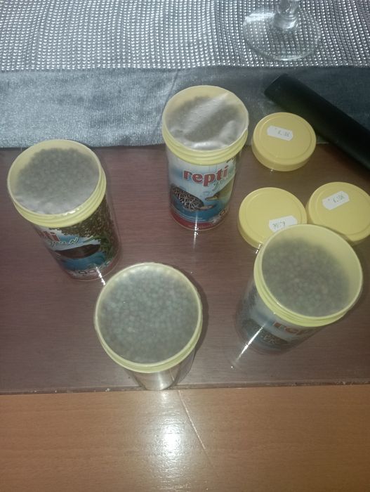 Alimento tartaruga