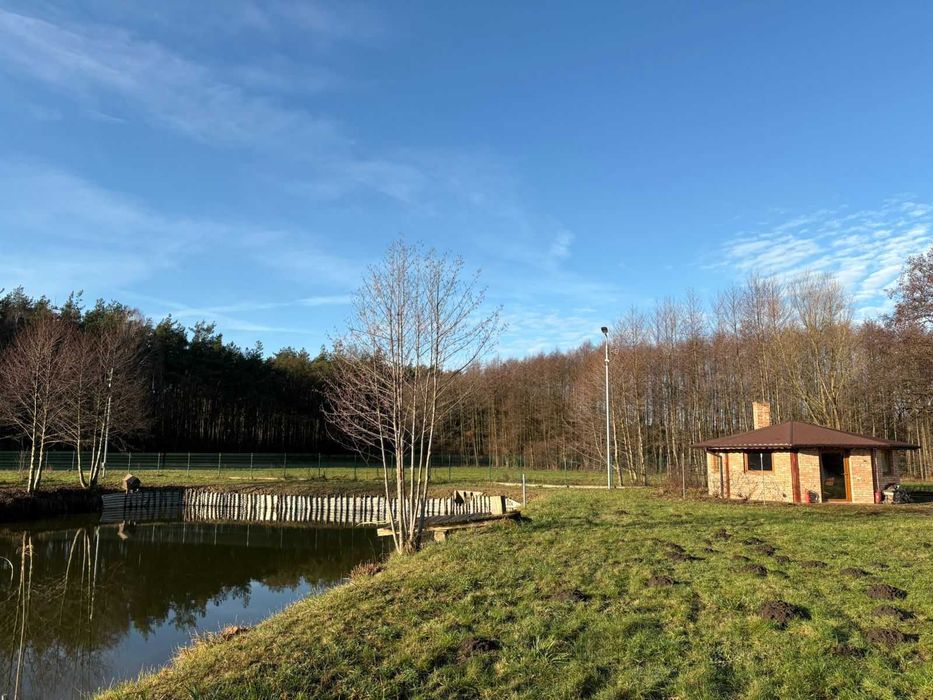 Działka Budowlana * Staw * Rostarzewo Głodno Rakoniewice