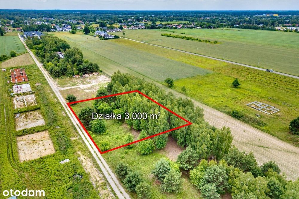 Działka 3000 m² z potencjałem inwestycyjnym – Bory
