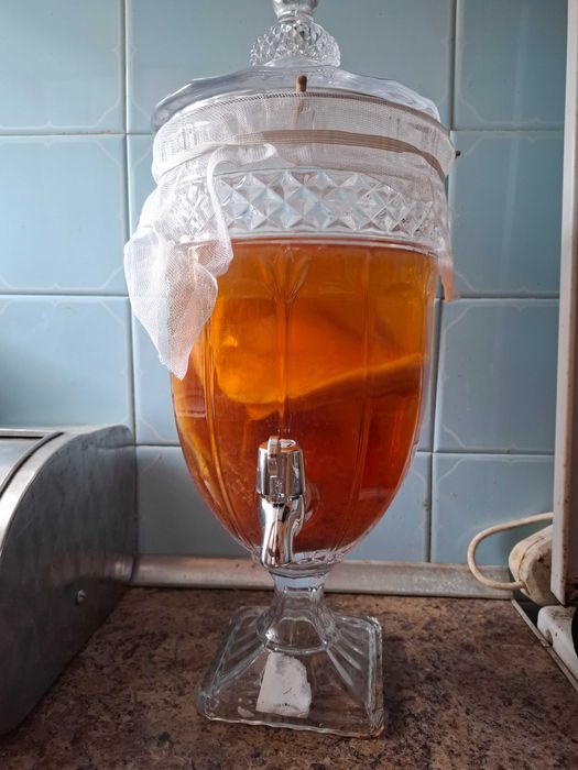 Продам Комбучу Гриб чайний