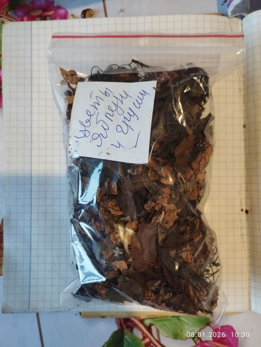 Цикорій троянда чебрець акація піон одуванчик