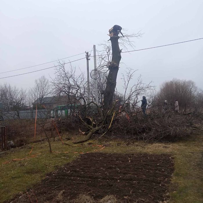 Порізка дров і зрізання дерев, корчування пнів,покіс трави,кронування
