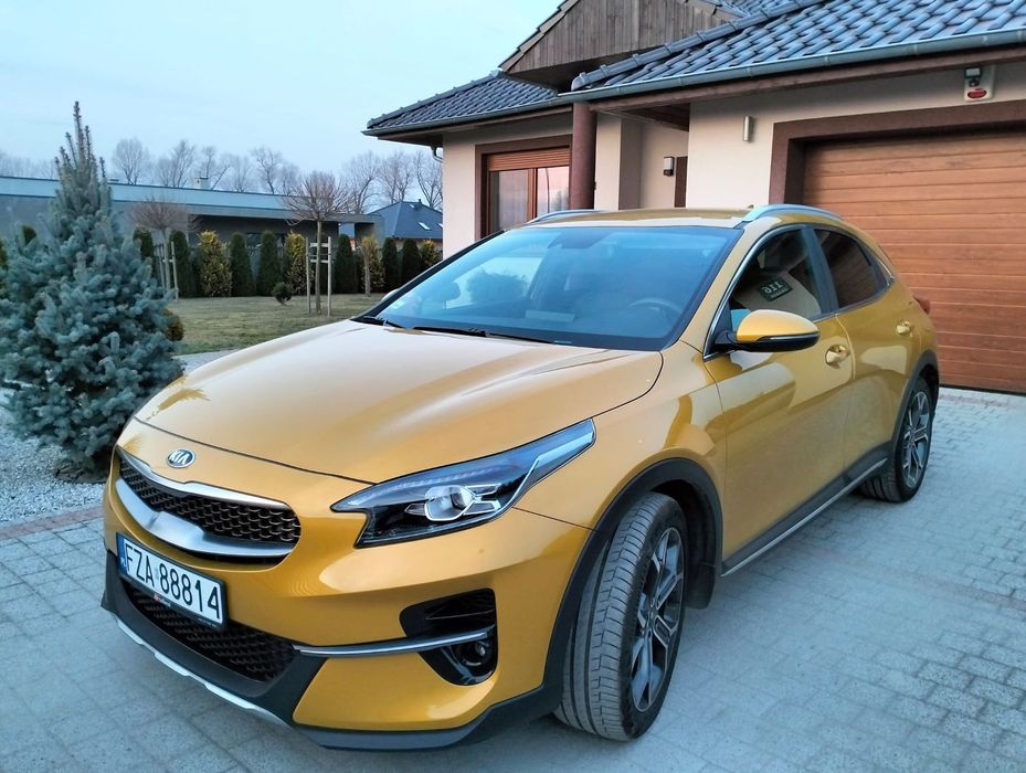Kia XCeed Kia XCEED 1,5 salon PL wersja "Yellow Splash"
