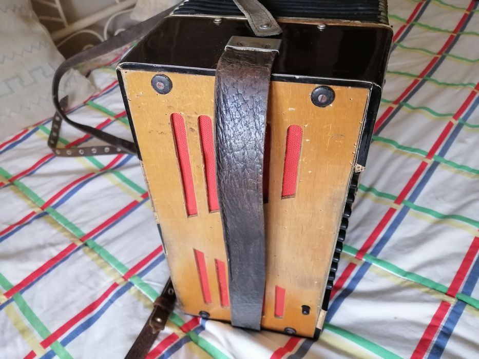 Acordeon. Acordeão