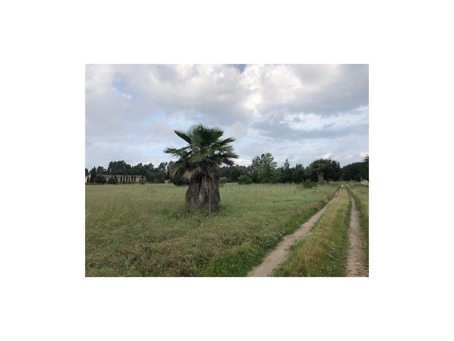 Benavente Land Plot
