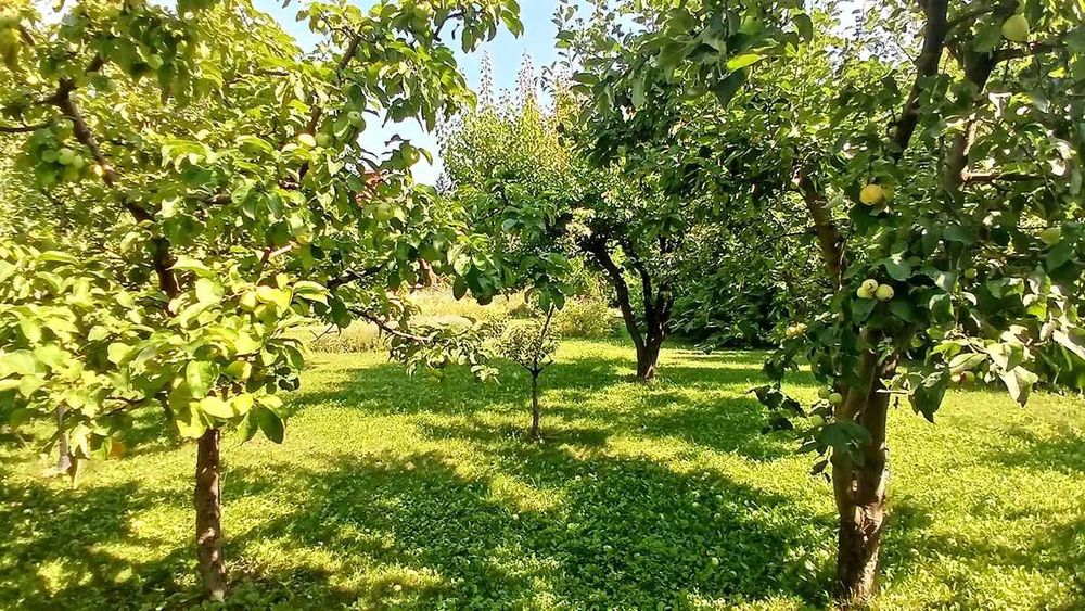 КМ «Денді» | 30 соток + будинок 435 м² | Віта-Поштова