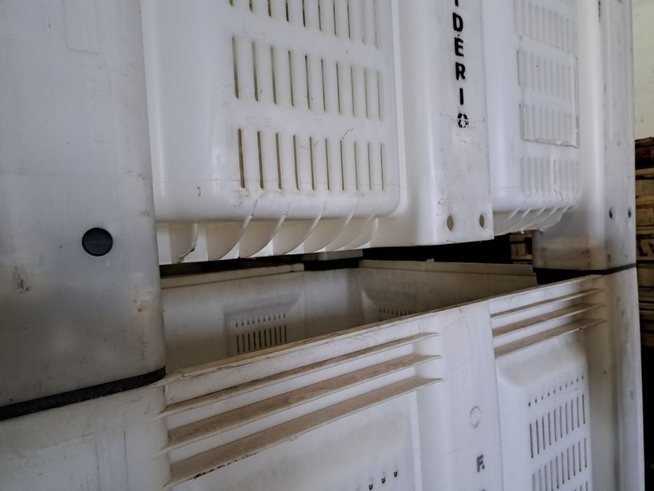 Palotes Plástico 120x100x74 Barrigudos Domplex