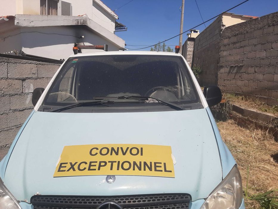 Venta vito matricila española