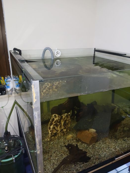 Akwarium 600l + stelaż