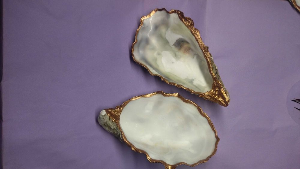 Ракушки декоративные