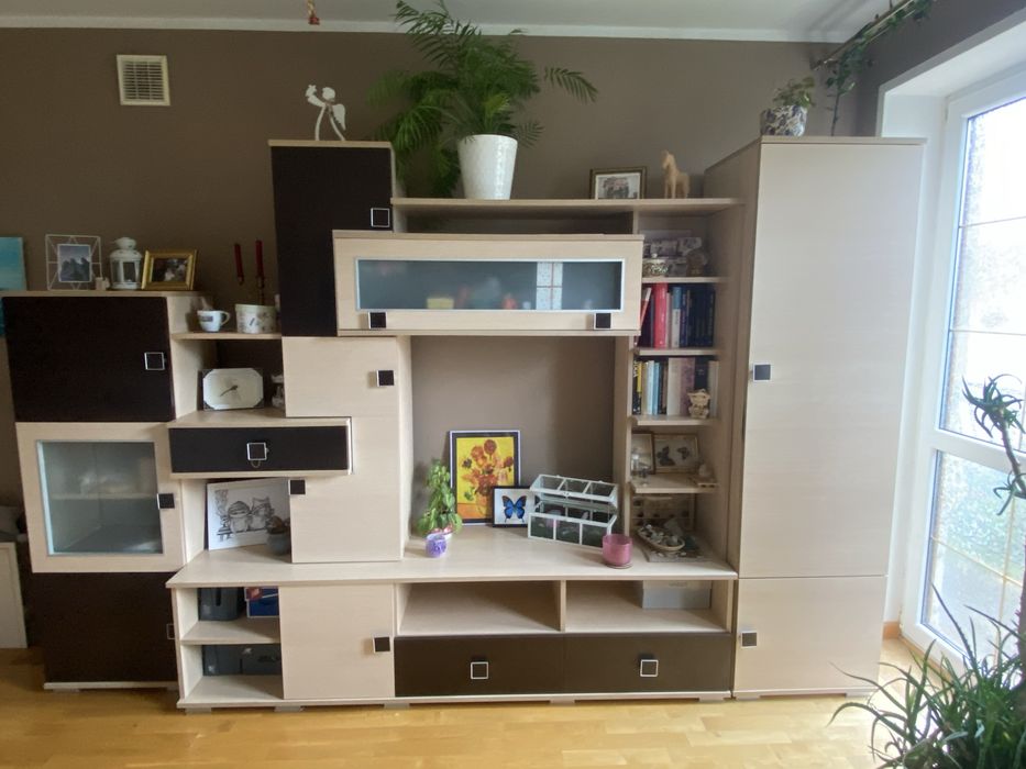 Regał, szafa, szafka, meblościanka